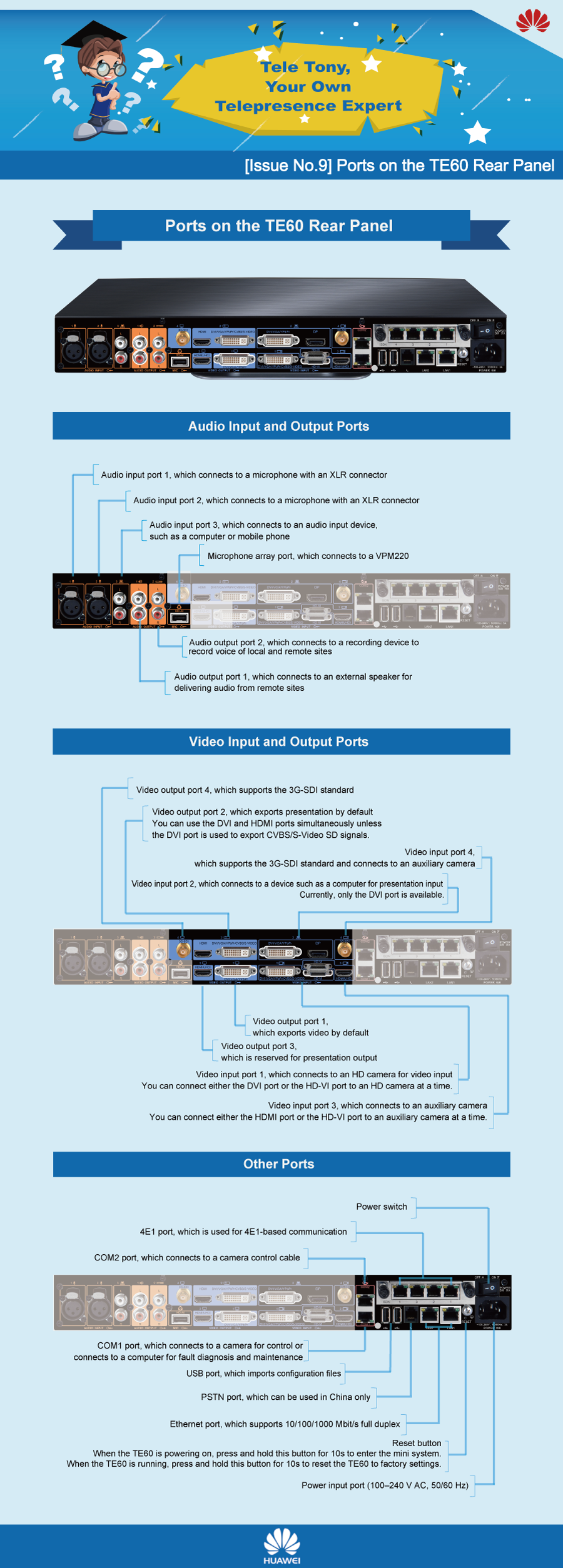 9 ports on the te60 rear panel