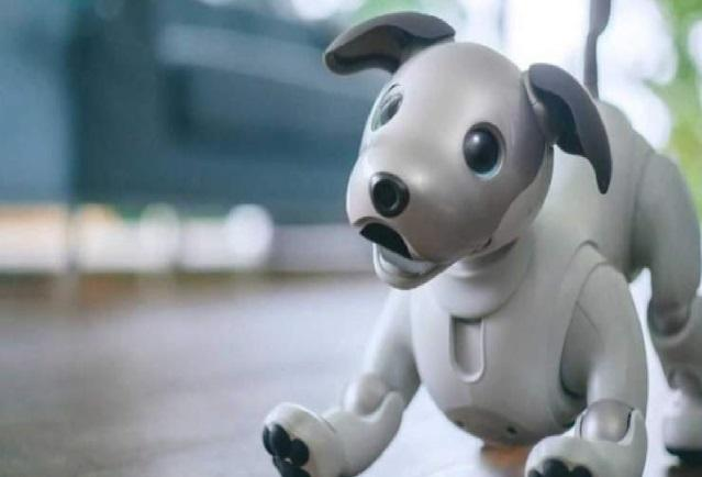 Aibo, el perro-robot que aprende a estimar