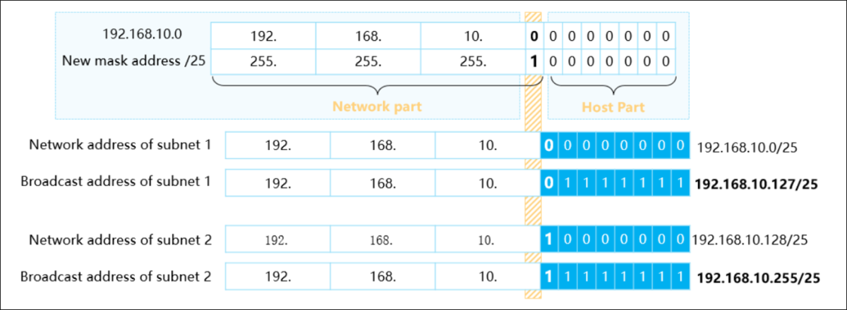 Ip Address