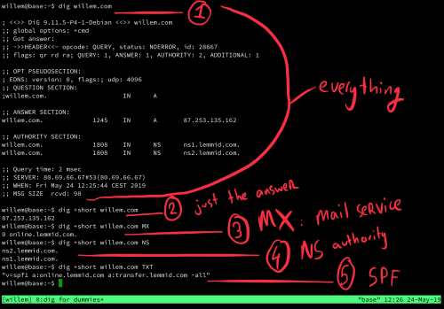 dig Command in Linux with Examples - GeeksforGeeks