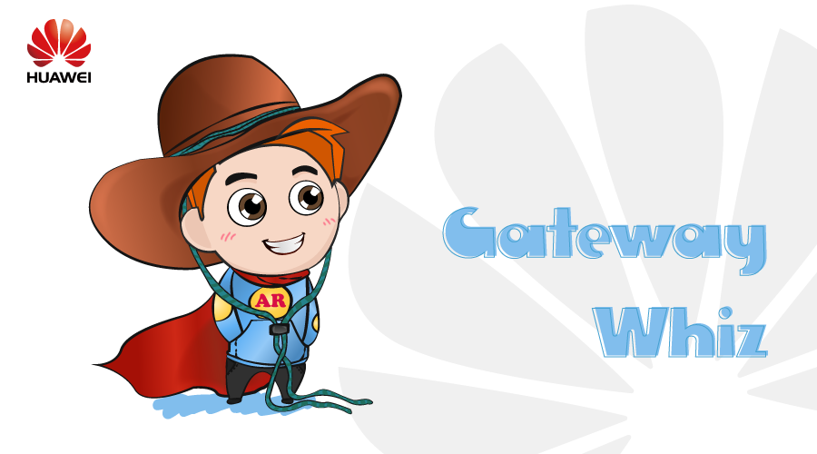 Gateway Whiz