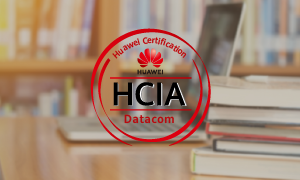 HCIA - Datacom class notes