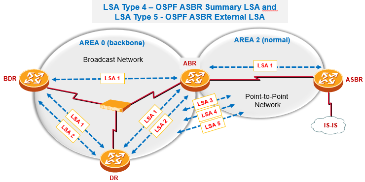 Какой тип маршрутизатора ospf создает lsa 3 го типа