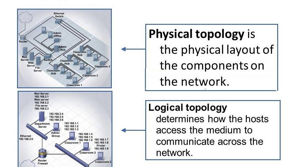 What Is Logical Topology And Its Types