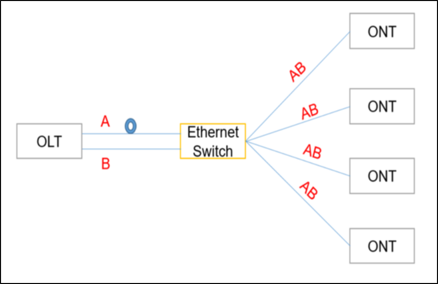 Access Network