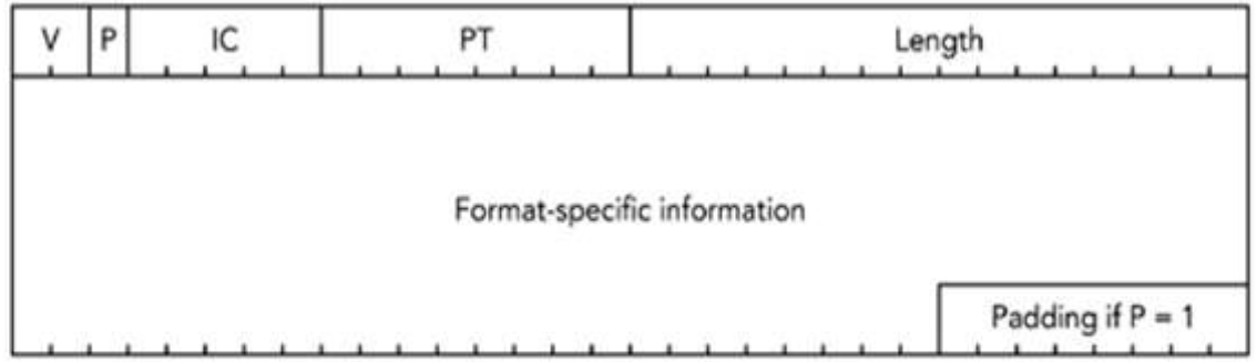 What Is Rtcp And What Is Its Use