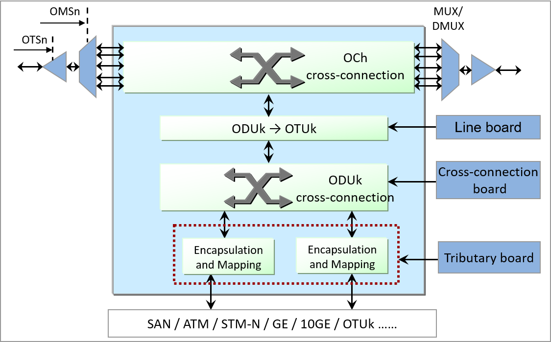 OTN