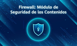 Firewall: Modulo de Seguridad de los Contenidos.