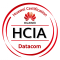 Entrenamiento HCIA-Datacom