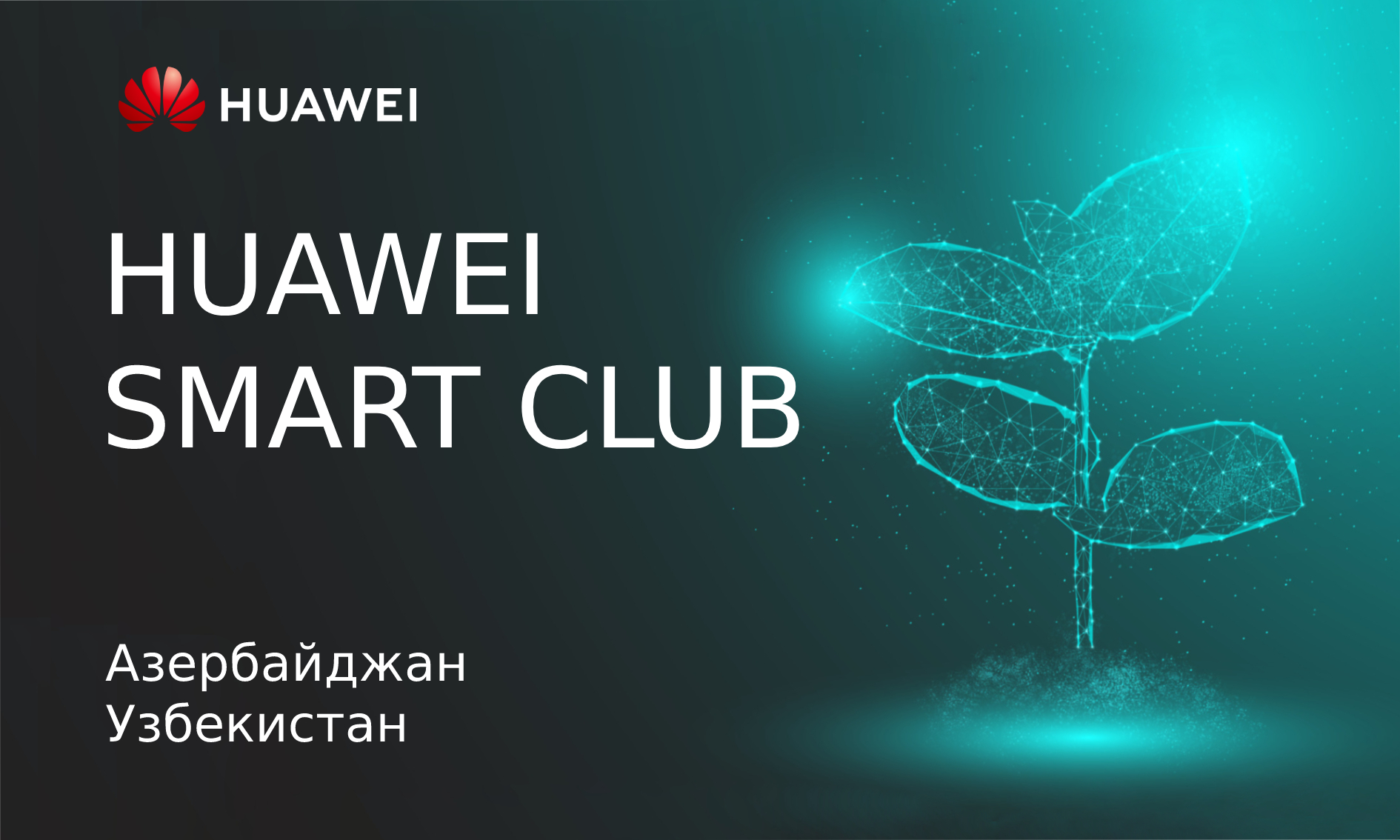 HUAWEI SMART CLUB