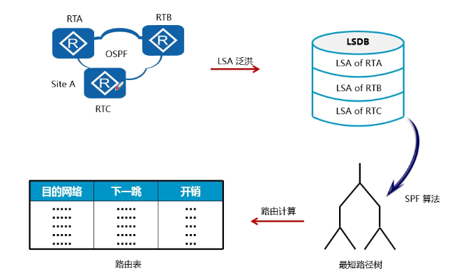 osfm和osfw图片